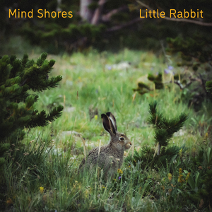 人妻熟女视频二区视频一区
